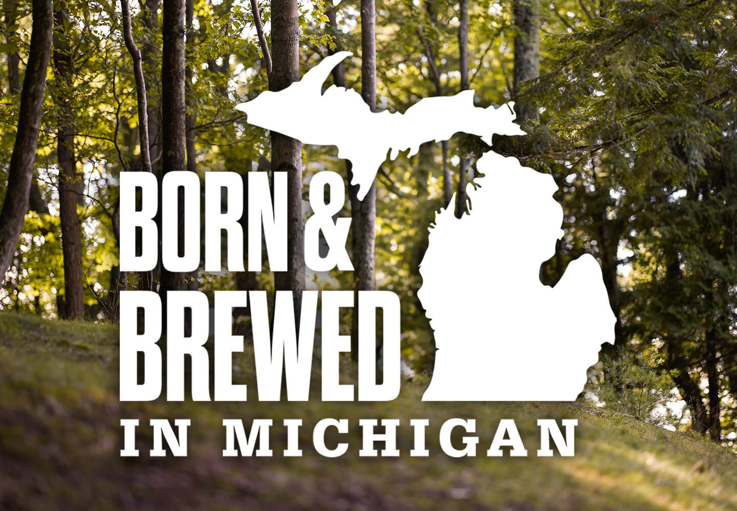 Born & Brewed in Michigan