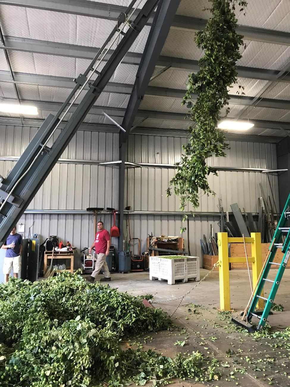 Crane holding hops